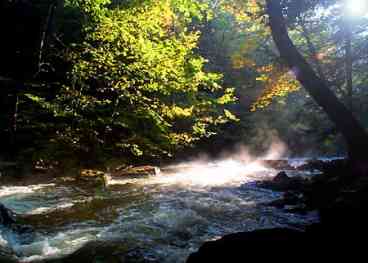 West Branch Stream - across the horse meadow- great for a fly fish