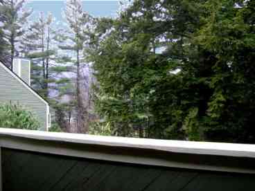 Master br balcony view of evergreens, birches & valley - New England rental