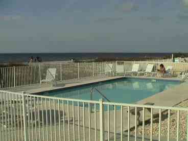 The Pool