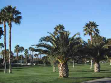 Palm Springs Vacation Rental - Fairway