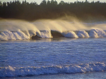 Ocean Mist Cottages