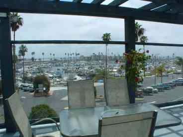 Poolside Dining