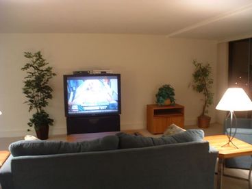 Large Screen TV