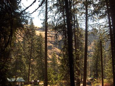 Little Salmon Cabin located bw New Meadows and Riggins