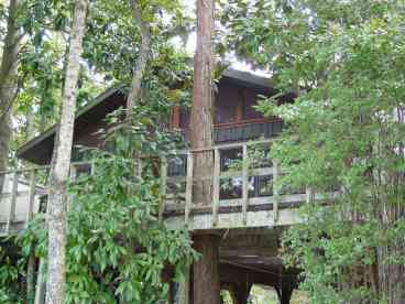 Front of Chalet