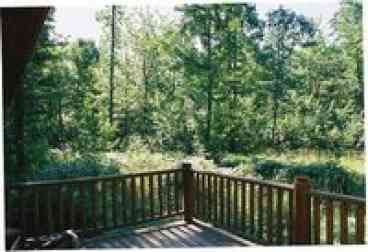 Luxury Log Cabin in 20 acres near Manistee River: Lost Oak Lodge