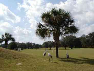 Van der Valk Inverness