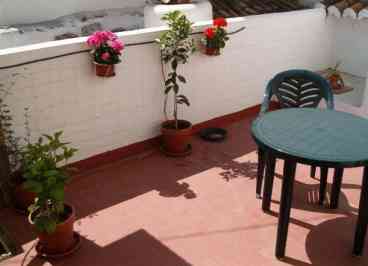Sunny Terrace