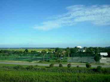 Marsh & Club View