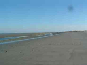 Pristine Beaches Harbor Island