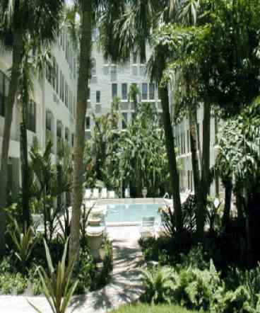 Palm Beach Paradise