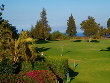 Aloha Spoken Here! October 1-16 SPECIAL, Two Saltwater Pools, on Golf Course