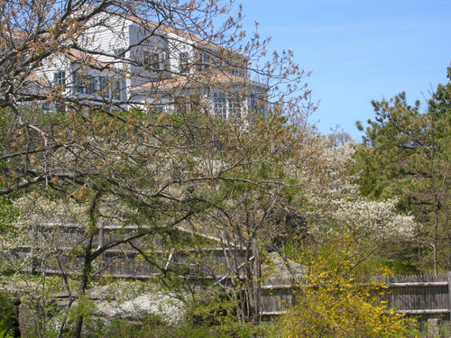 Ocean Side of Gull Cove House