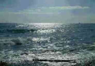Local Beach