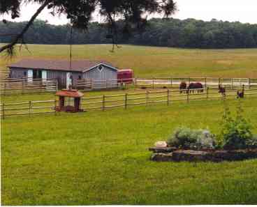 View of Property