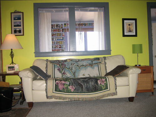 Photo 3