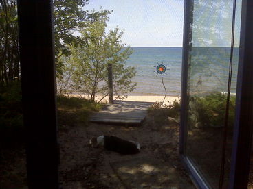 Photo 4