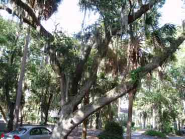 Shaded Off Street Parking