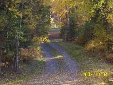 Country Lane