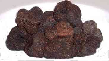 Truffles