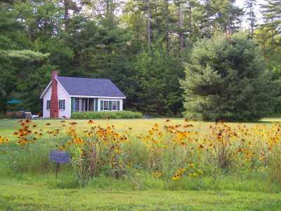 Cottage Summer 2006