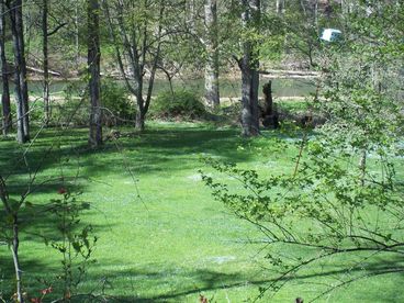 creek view