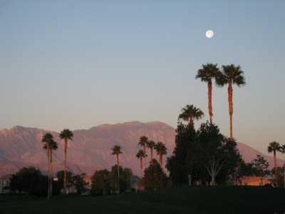 View from Patio