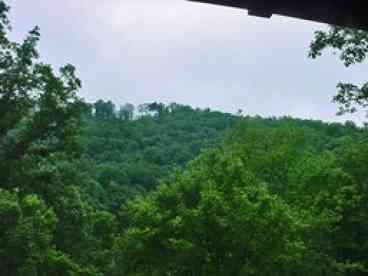 View From Upper Deck