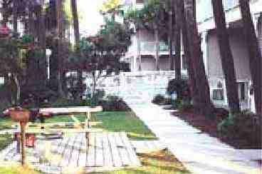 BBQ Grill and pool area