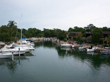 Photo 8