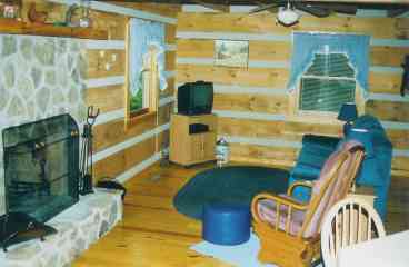 Townsend Cabin Rental Great Livingroom with Fireplace