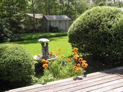 Spacious and groomed backyard
