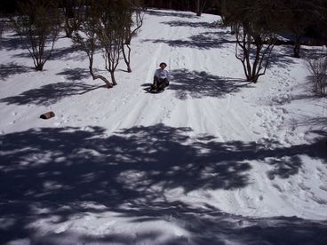 Snowsliding in The Backyard