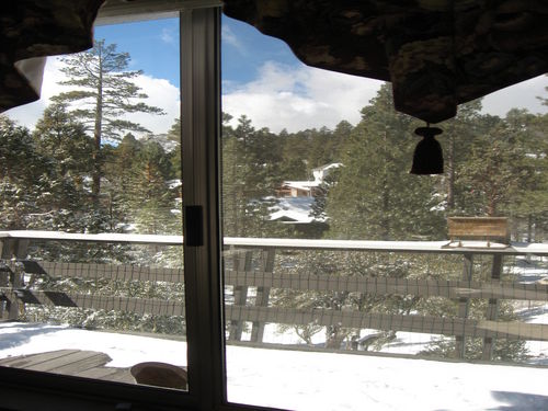 View from Kitchen window