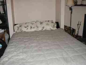 Queen Murphy Bed (down)