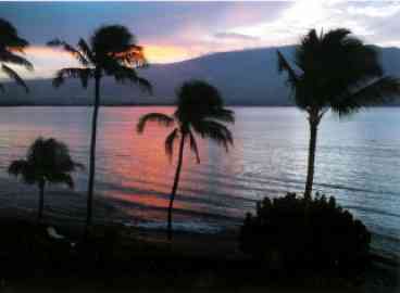 Affordable Maui Direct OCEANFRONT Deluxe Condo - Right on the water