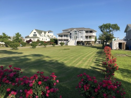 Roses and beautiful yard at this Bay Home, Am I Dreaming