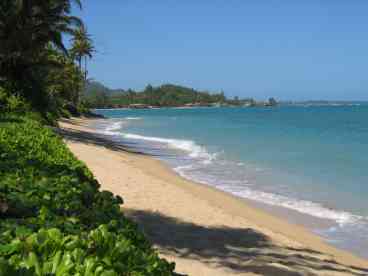 Beach view