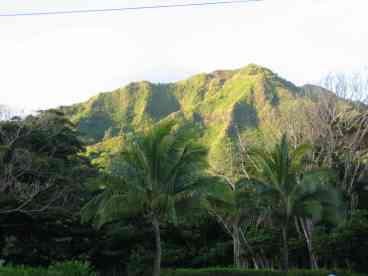 Lush Green Mountains