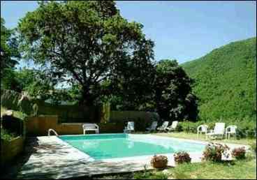 40ft. x 20ft. Swimming Pool
usually open from May until Sept