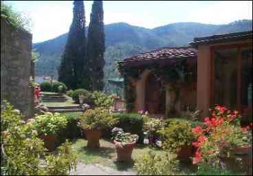 Courtyard with Flowers