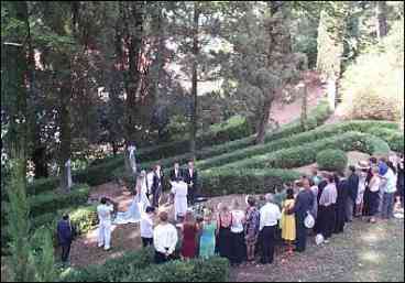 Wedding Photo