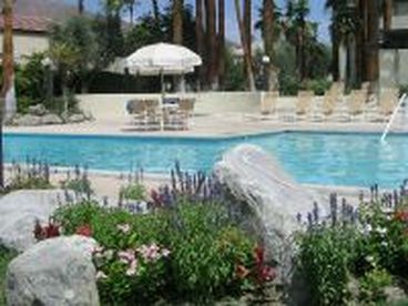 Large Heated Pool towards BBQ area and jacuzzi