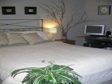 Guest bedroom-Queen Size Bed