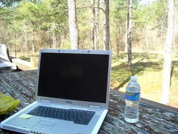 You can tell the boss you are working -- free wifi at Pine Meadow Cabins.
