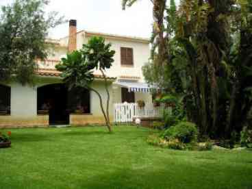 our garden