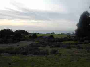 View to ocean