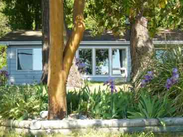 Beach Cottage