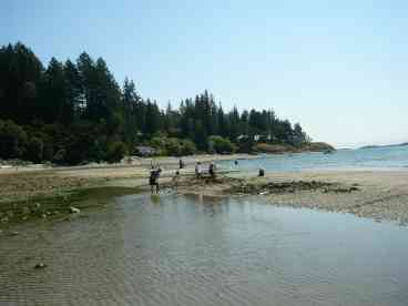 Tidal Pool on Welcome Beach