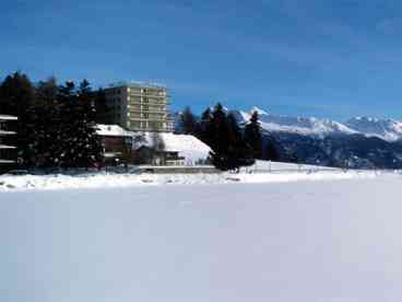 Photo 8